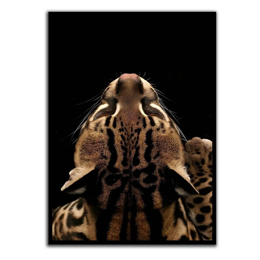 Dark Majesty