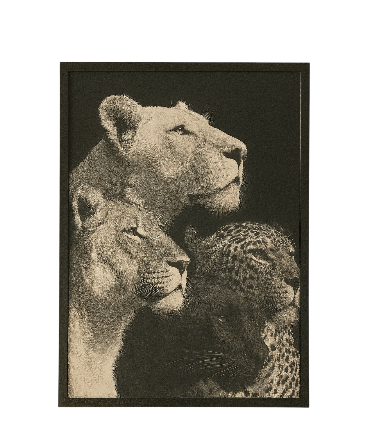 Wild Loyalty