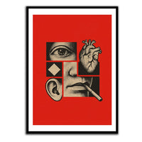 Fragments
