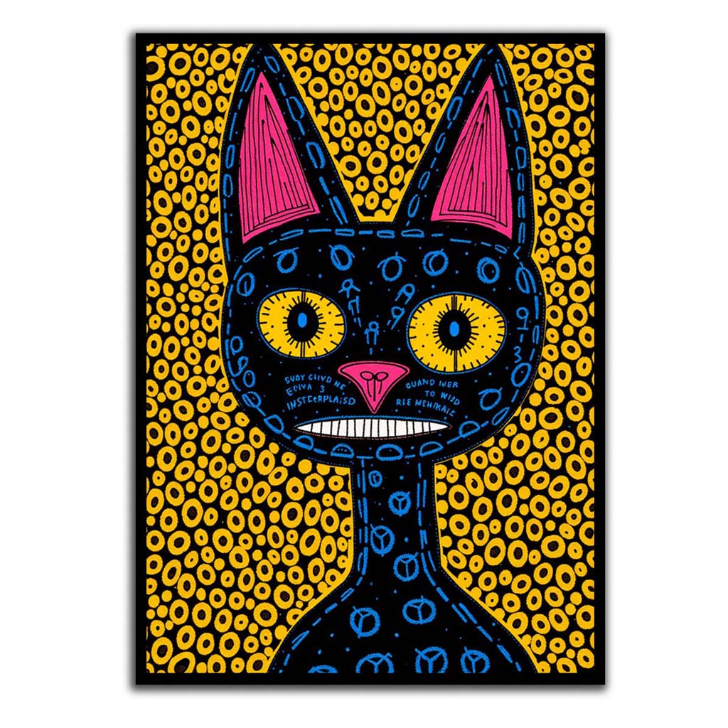 Midnight Cat