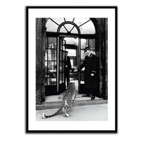 Noir