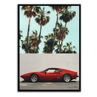 Palm Ferrari