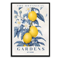 Lemon Garden