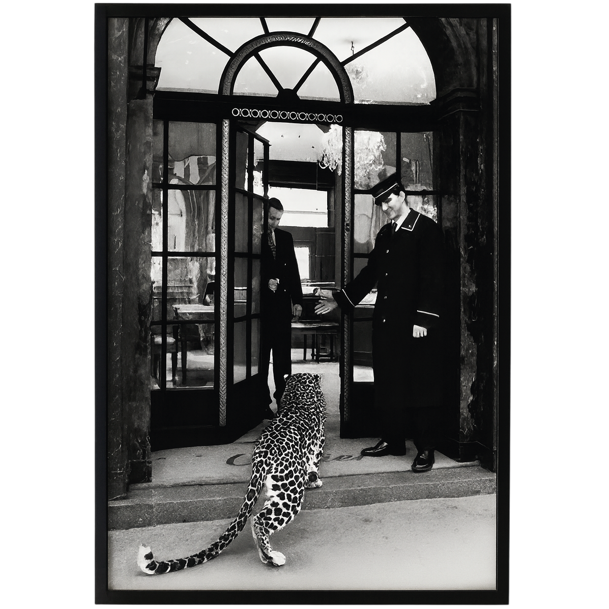Leopard