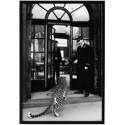 Leopard