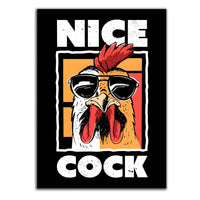 Nice Cock