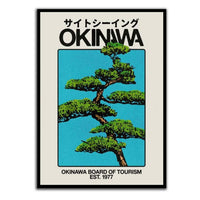 Okinawa White